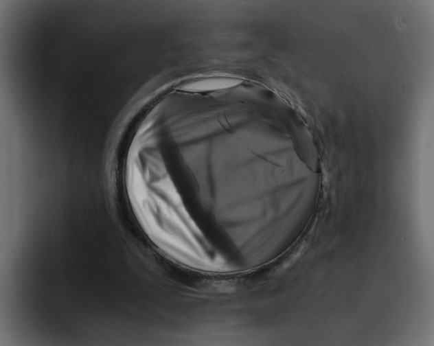 X0000092000295200710041012