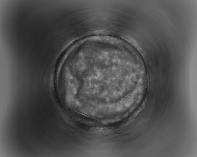 X0000092000297200710041012