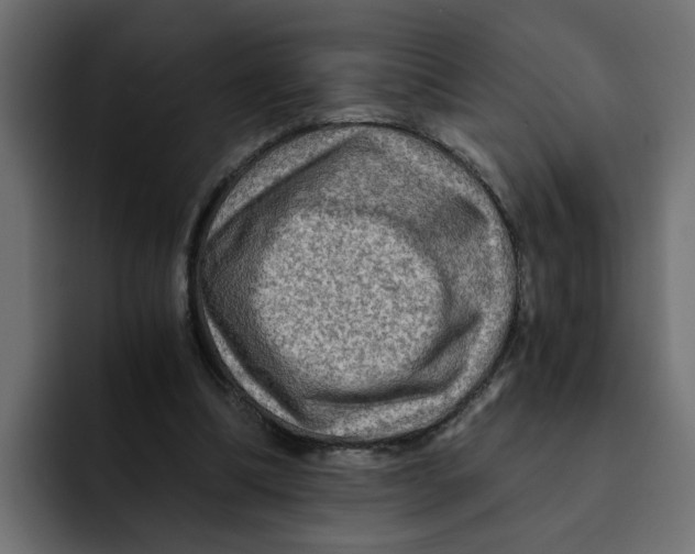 X0000092000298200710041012