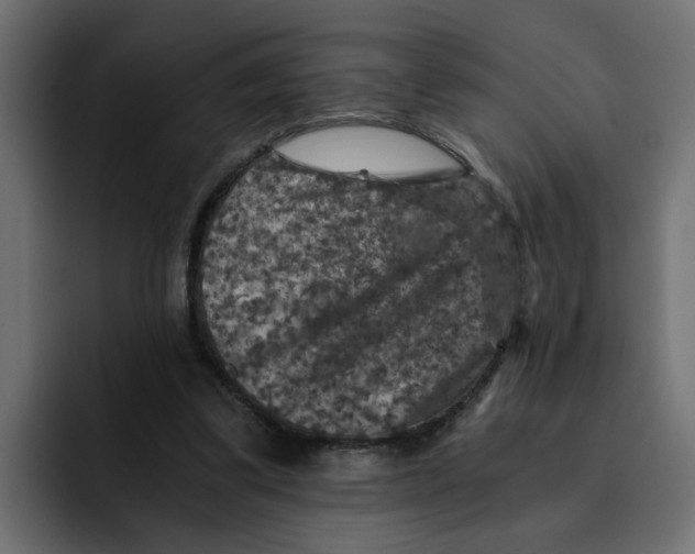 X0000092000299200710041012