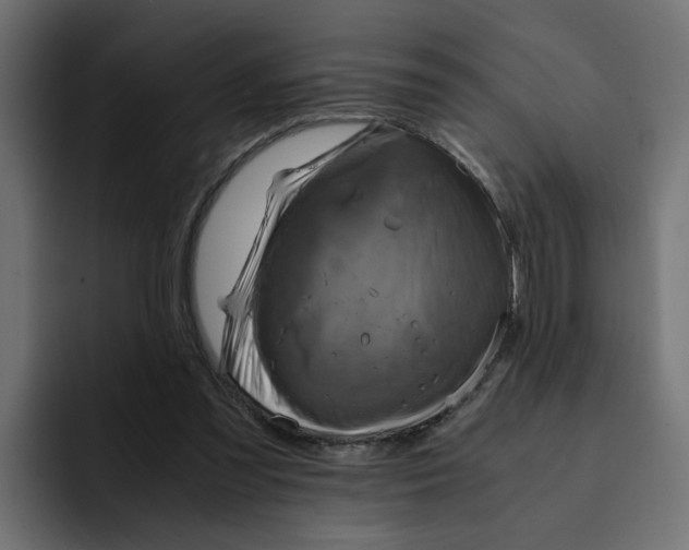 X0000092000301200710041012