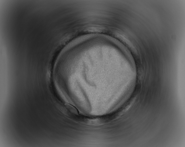 X0000092000309200710041012