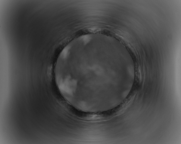 X0000092000319200710041012