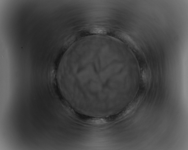 X0000092000322200710041012