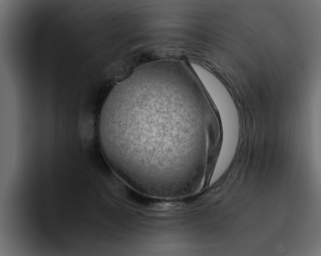 X0000092000323200710041012