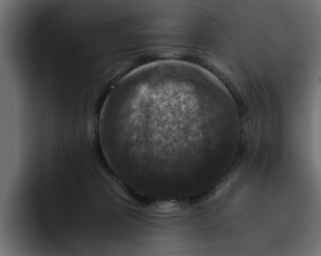 X0000092000325200710041012