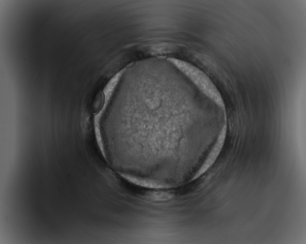 X0000092000327200710041012