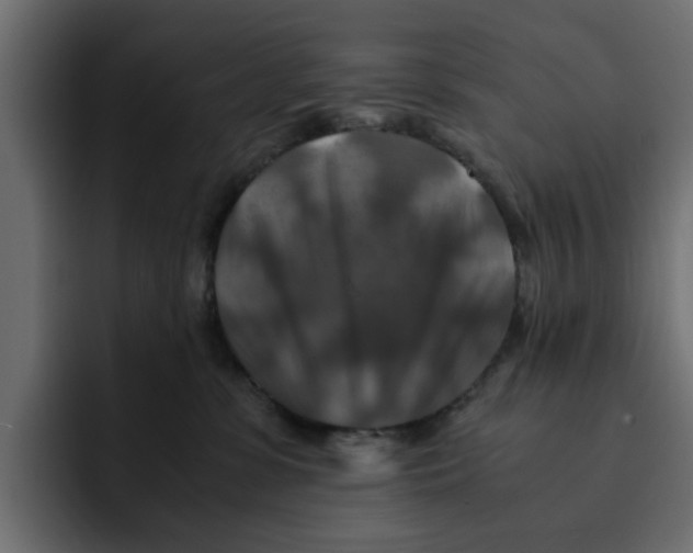 X0000092000331200710041012