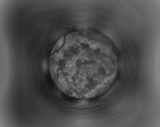 X0000092000335200710041012