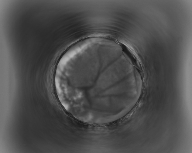 X0000092000337200710041011