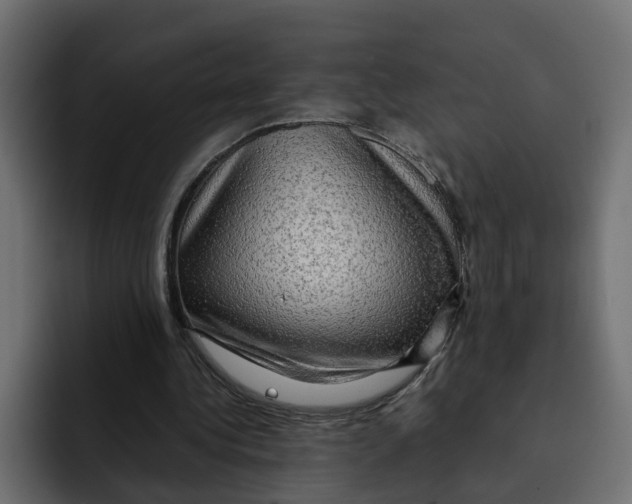 X0000092000340200710041011