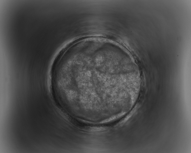 X0000092000342200710041011