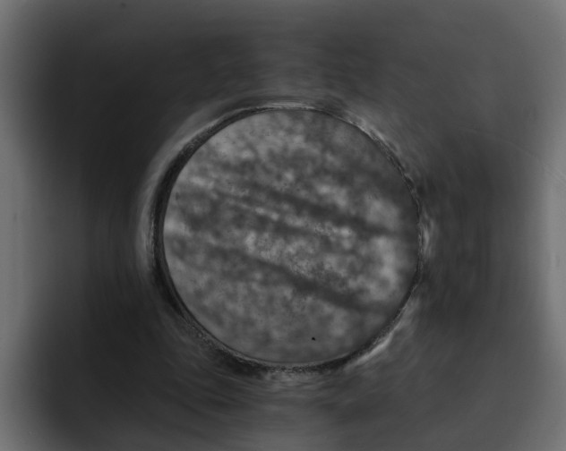 X0000092000343200710041011