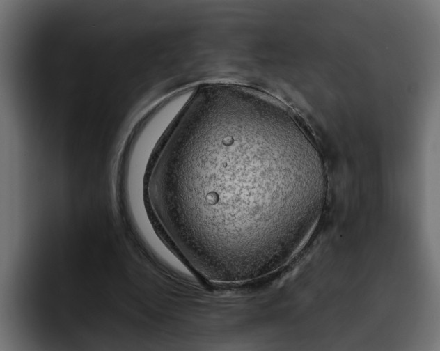 X0000092000344200710041011