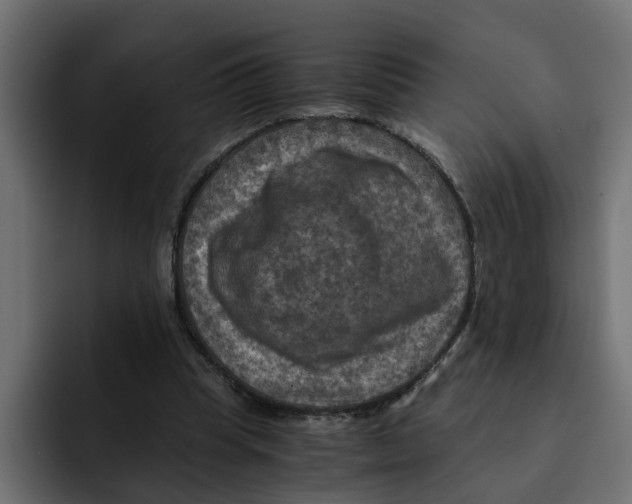 X0000092000345200710041011