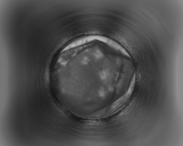 X0000092000347200710041011