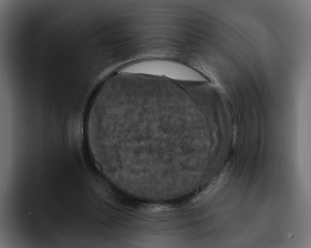 X0000092000348200710041011