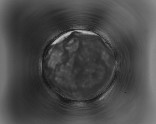 X0000092000349200710041011