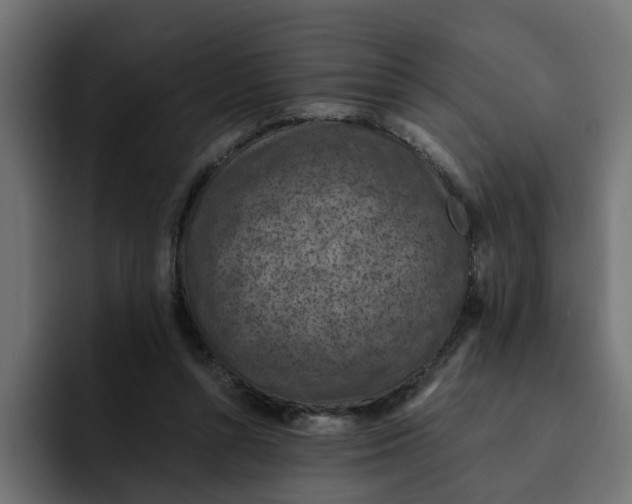 X0000092000352200710041011