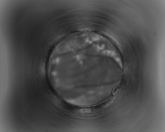 X0000092000353200710041011