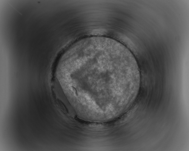 X0000092000354200710041011