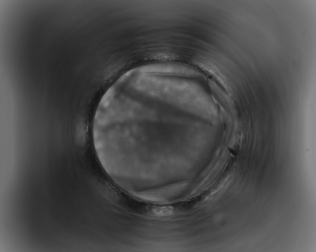 X0000092000355200710041011