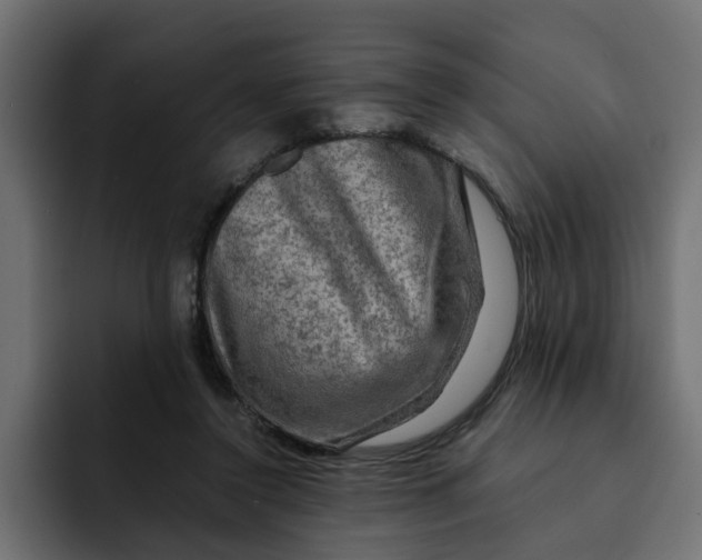 X0000092000356200710041011