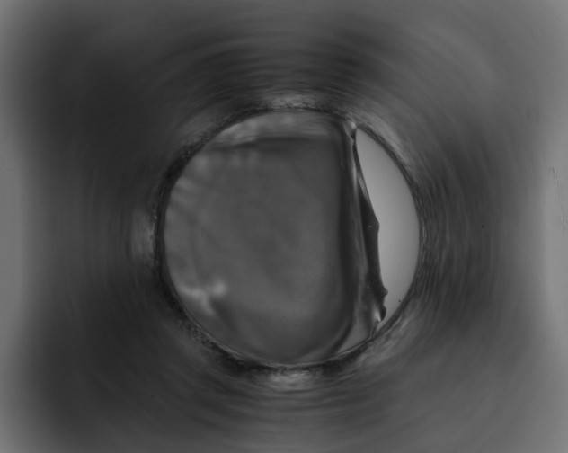 X0000092000357200710041012