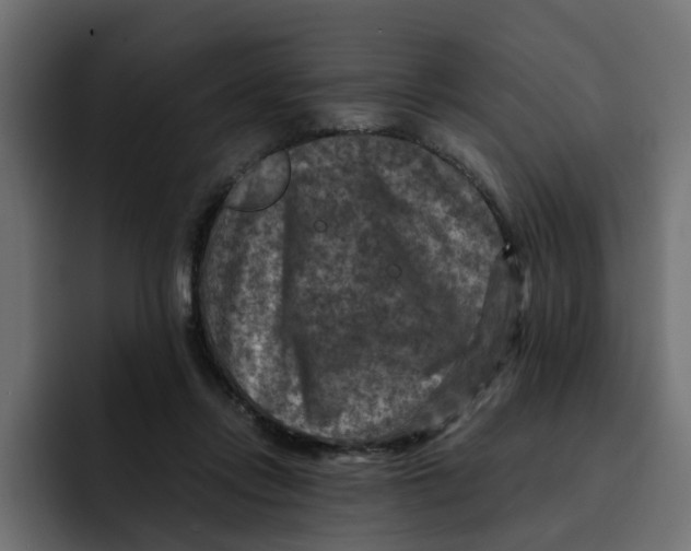 X0000092000358200710041012