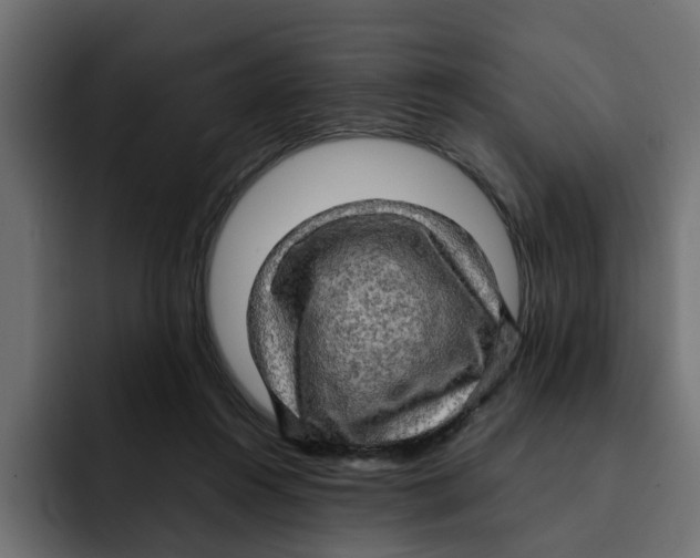 X0000092000360200710041012