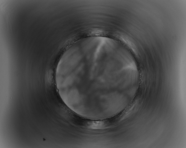 X0000092000361200710041012