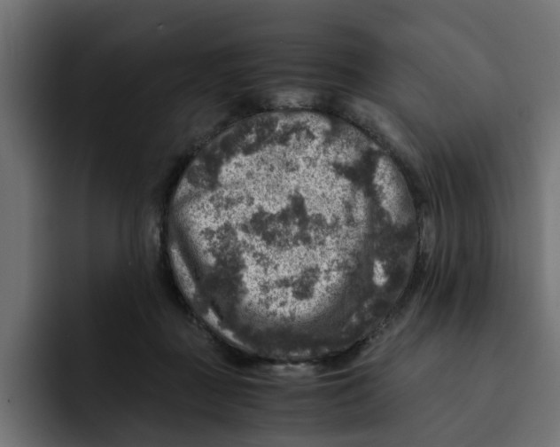 X0000092000363200710041012