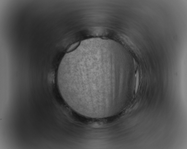 X0000092000368200710041012