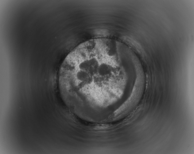 X0000092000369200710041012