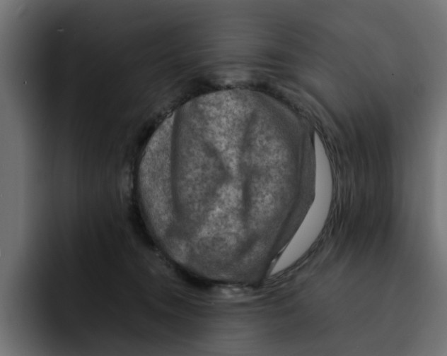 X0000092000372200710041012