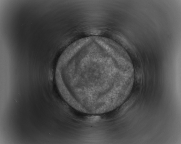 X0000092000374200710041012