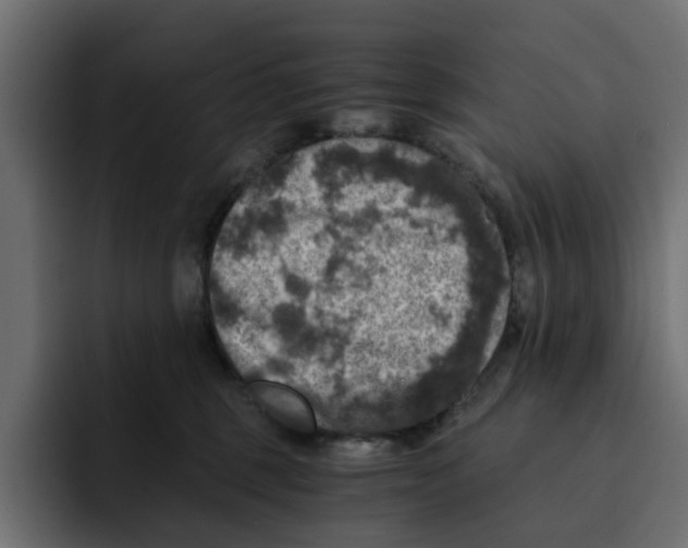 X0000092000375200710041012