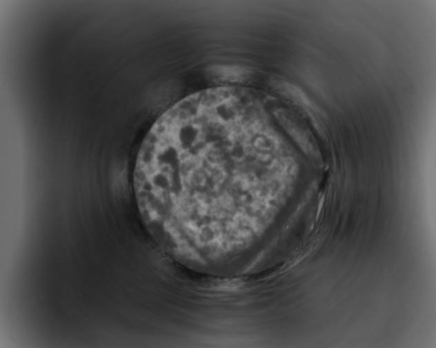 X0000092000377200710041012