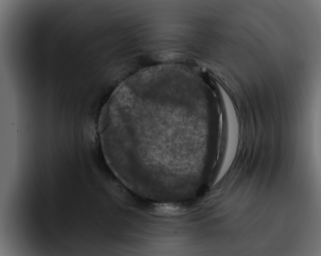 X0000092000380200710041012