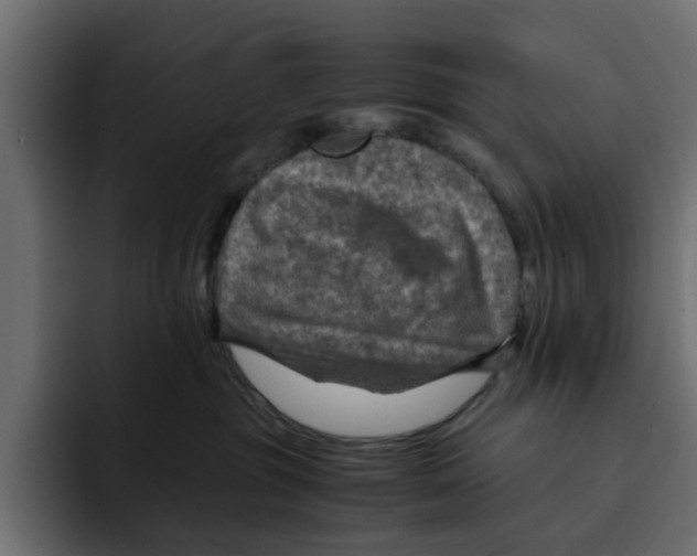 X0000092000381200710041012