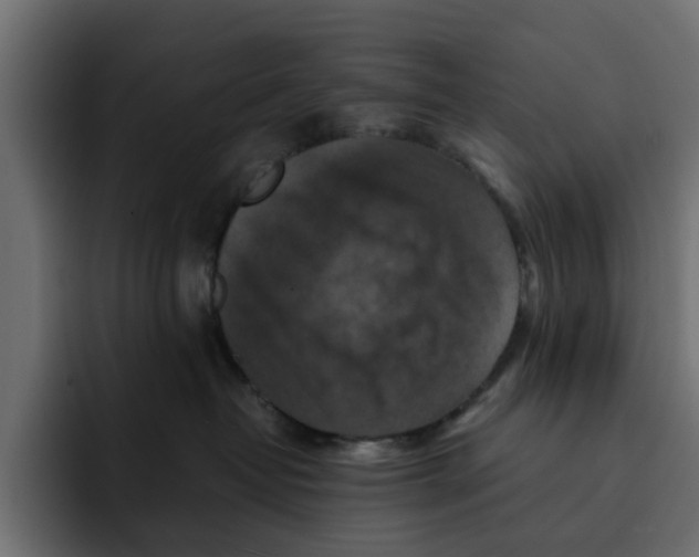 X0000092000382200710041012