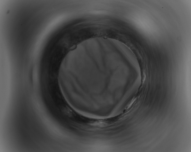 X0000092000383200710041012