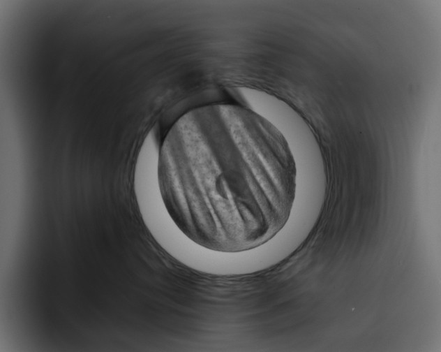 X0000092000384200710041012