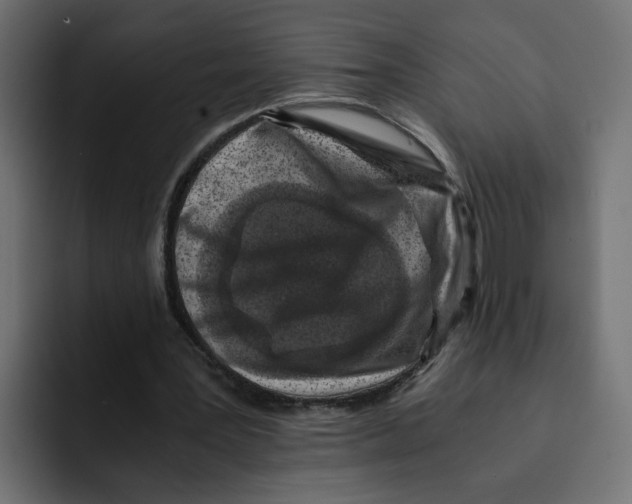 X0000092000387200710041011