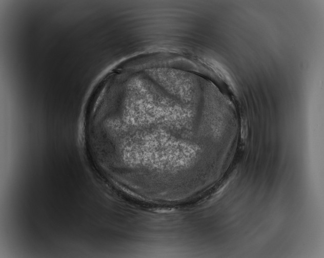 X0000092000388200710041011