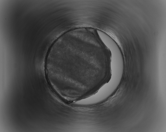 X0000092000389200710041011