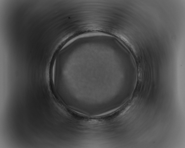 X0000092000390200710041011