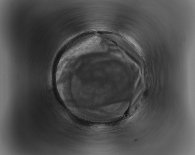 X0000092000391200710041011