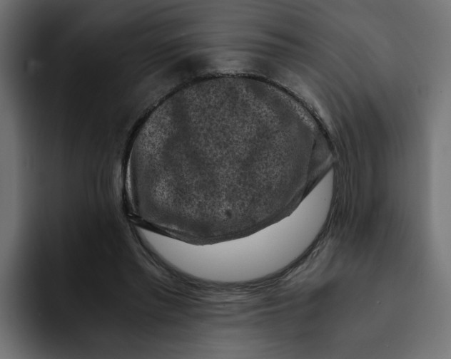 X0000092000397200710041011