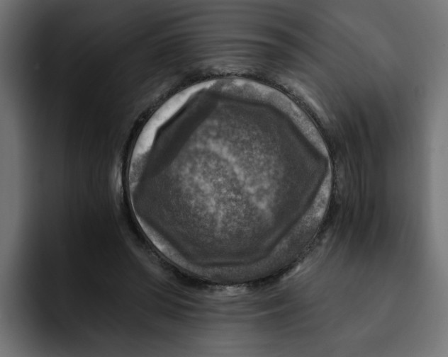 X0000092000398200710041011